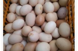 赤峰豐收路合作社電話地址查詢