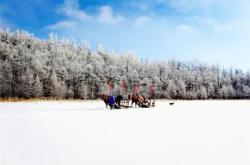 赤峰市蒼狼飯店電話地址查詢