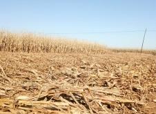 赤峰關(guān)家營(yíng)曉芹診所電話號(hào)碼