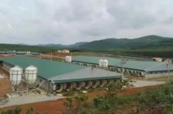 內(nèi)蒙古赤峰養(yǎng)豬場(chǎng)電話號(hào)碼