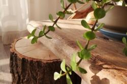 赤峰梵舍瑜伽館電話多少號