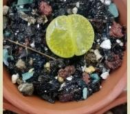 赤峰市多肉基地地址電話(huà)號(hào)碼