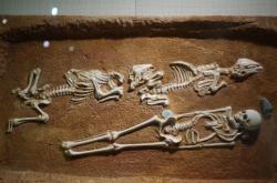 赤峰市肖像館電話多少號