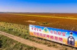 赤峰光伏板出售電話號(hào)碼查詢