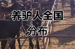 赤峰市養(yǎng)驢貸款電話地址查詢