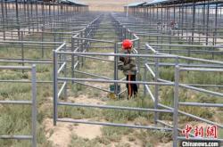 赤峰沃金活畜交易市場有限公司