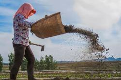 赤峰賣棒球棍電話號(hào)碼查詢地址