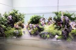 赤峰水陸缸造景定做電話號(hào)碼