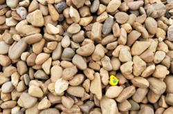 赤峰批發(fā)大鵝卵石電話地址查詢