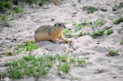 赤峰歐禾料理店電話地址查詢