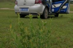 赤峰車飾用品專賣店電話號(hào)碼