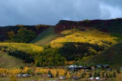 赤峰球蓋菇種植基地電話(huà)號(hào)碼