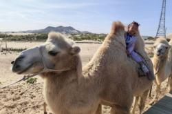 赤峰景麗臺(tái)球館電話號(hào)碼多少