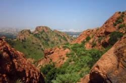 赤峰紅山區(qū)老廟社區(qū)電話號碼