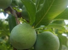 內(nèi)蒙古赤峰市元寶山區(qū)郵政