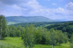 赤峰小峰銷(xiāo)售工作室電話號(hào)碼