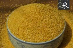 赤峰橋北小米專賣店電話號碼