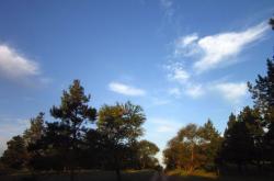 赤峰紅山區(qū)北溝社區(qū)電話號(hào)碼