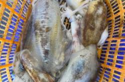 赤峰市海魚專賣店電話號(hào)碼