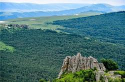 赤峰巧匠貼膜廠電話號(hào)碼查詢