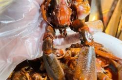 赤峰大龍蝦專賣店電話號碼