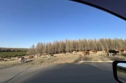 三河到赤峰大客車電話號(hào)碼