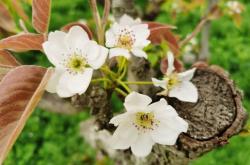 赤峰大蟲生態(tài)園電話多少號