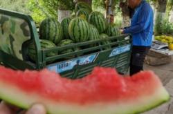 赤峰賣棒球棍電話地址是多少號