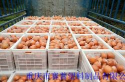 赤峰收塑料筐電話號碼查詢地址