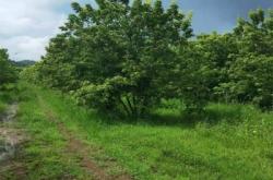 赤峰蘭香苑市政府電話號碼