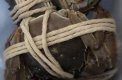 赤峰市春意盎然飯店電話號碼