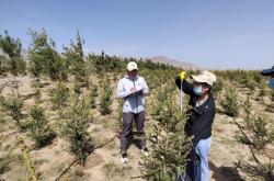 赤峰市林木種苗站地址電話號(hào)碼