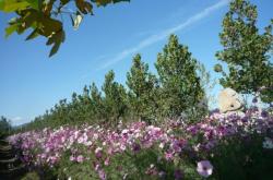 赤峰平莊長泰水務電話