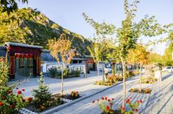 赤峰肉鴨養(yǎng)殖廠家電話號(hào)碼