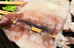 赤峰魷魚串凍貨批發(fā)電話號碼