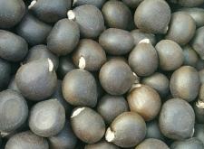 赤峰桃汁批發(fā)電話號碼多少