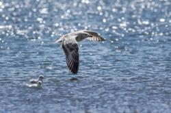 赤峰悠貝游泳館電話號碼