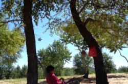 赤峰橋北釣場(chǎng)電話(huà)號(hào)碼多少號(hào)