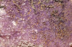 赤峰市螢石礦收購電話地址查詢