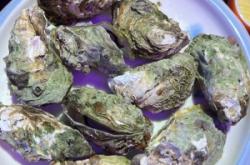 赤峰康韻唐朝火鍋店電話號(hào)碼