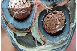 赤峰回收手機(jī)配件店電話號碼