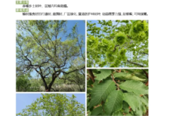 赤峰大樹家具廠電話號碼多少