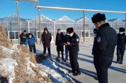 赤峰林西縣森林公司電話號碼