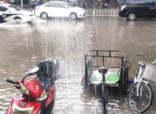 赤峰紅山區(qū)蔬菜超市電話號碼