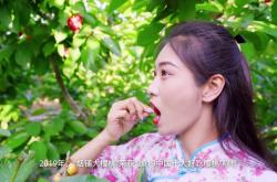 赤峰煙冠大櫻桃基地電話號碼