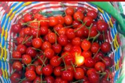 赤峰市壞果包賠公司電話號碼