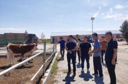 赤峰重鋼結(jié)構(gòu)施工隊電話號碼