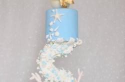 赤峰喬師傅藝術(shù)蛋糕店電話號碼