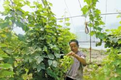 赤峰黑溝釣魚地點(diǎn)電話多少