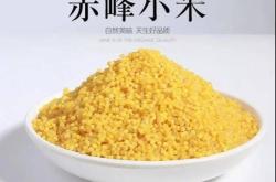 赤峰小米油糠廠家電話地址查詢